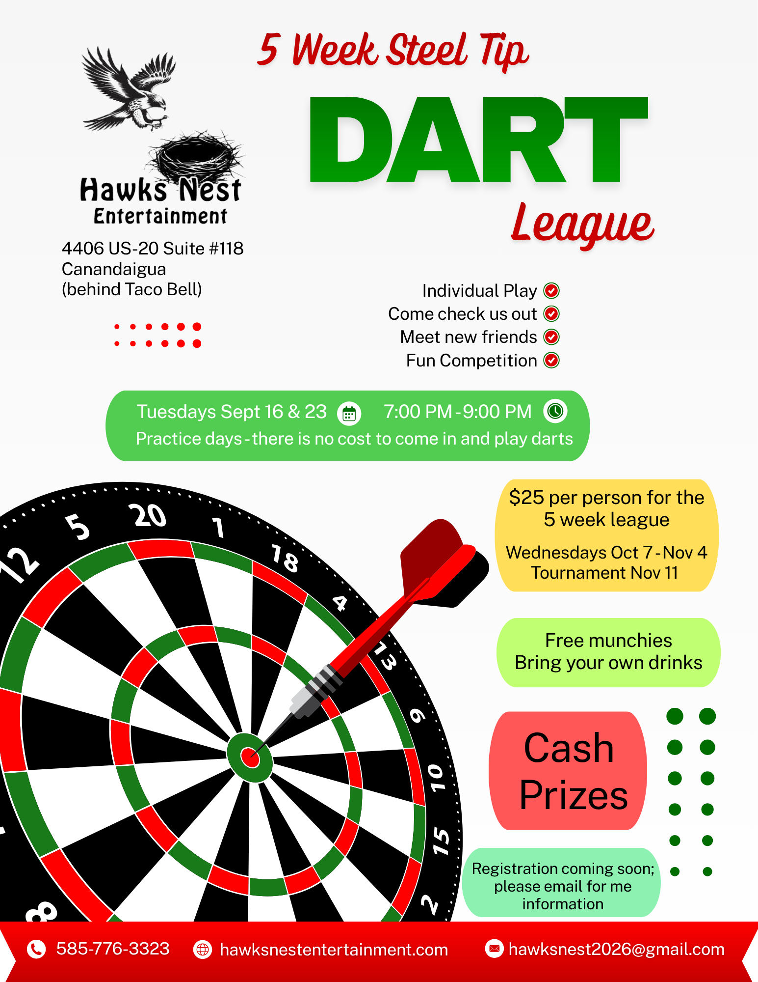 Dart League Flyer